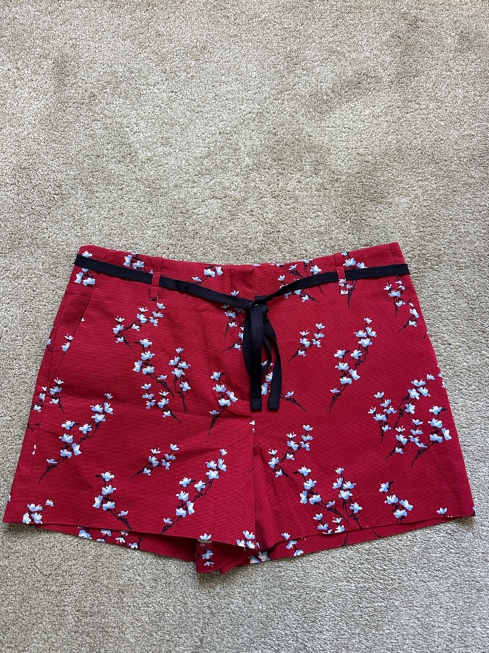 Loft Women Red Floral Print Ribbon Tie Waist The Riviera Shorts